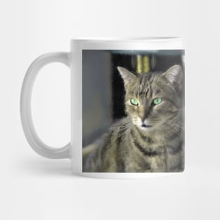 Window Shopping Mug